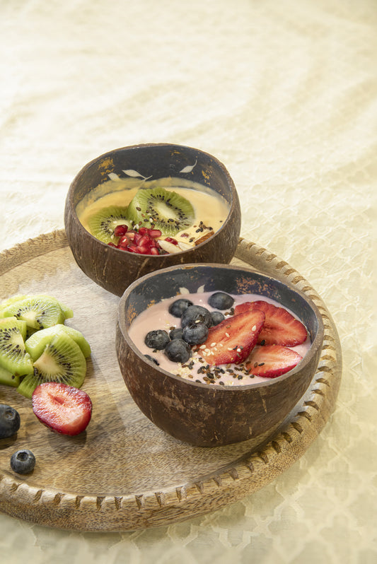 Winter Nights Coconut Bowl (Set of 2)